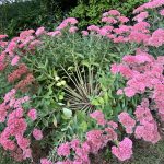 article image - 